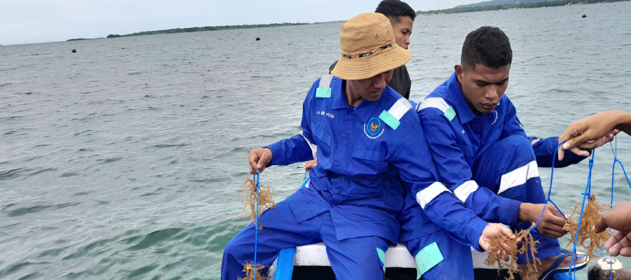 Budidaya Rumput Laut(TEFA/Teaching Factory)